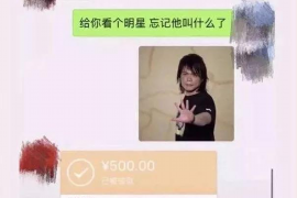 奉新如果欠债的人消失了怎么查找，专业讨债公司的找人方法