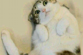 奉新专业讨债公司，追讨消失的老赖